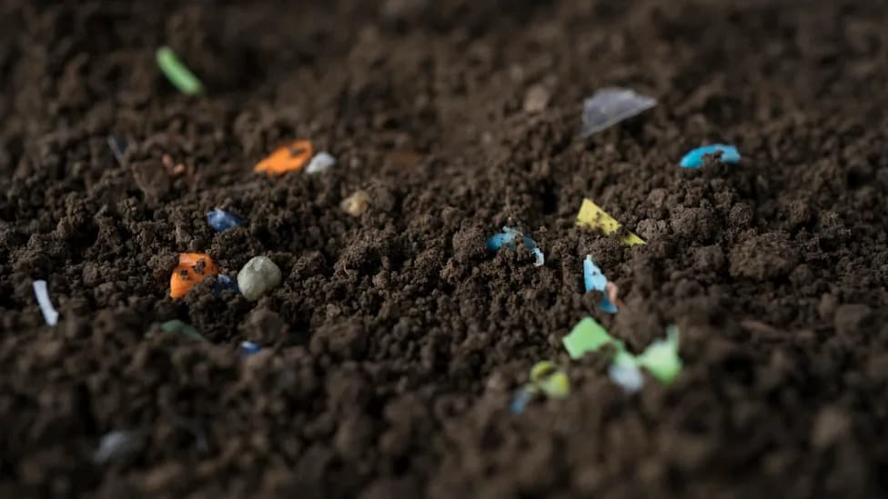 Chinese Review Finds Microplastics in Manure Could Accelerate Antibiotic Resistance