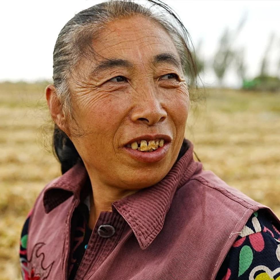 China’s New Rural Skyline: Data Centres Rise on Potato Plains to Power an AI Push