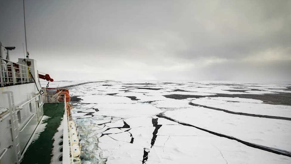 Antarctic Cruise Reveals Models Overpredict Southern Ocean Low Clouds but Underestimate Surface Heat