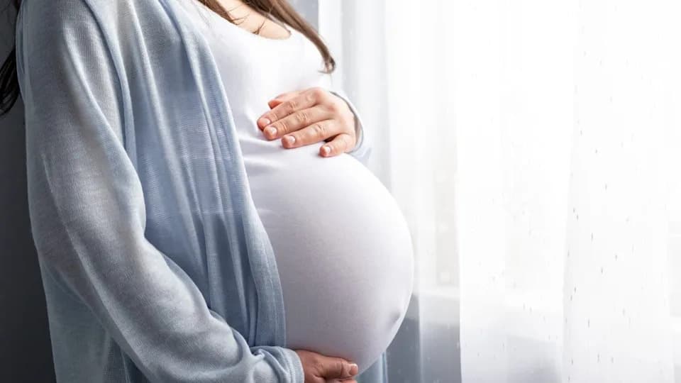 Study Links High Pregnancy Estrogen to Temporary 'Pregnancy Brain' By Disrupting Memory Circuit