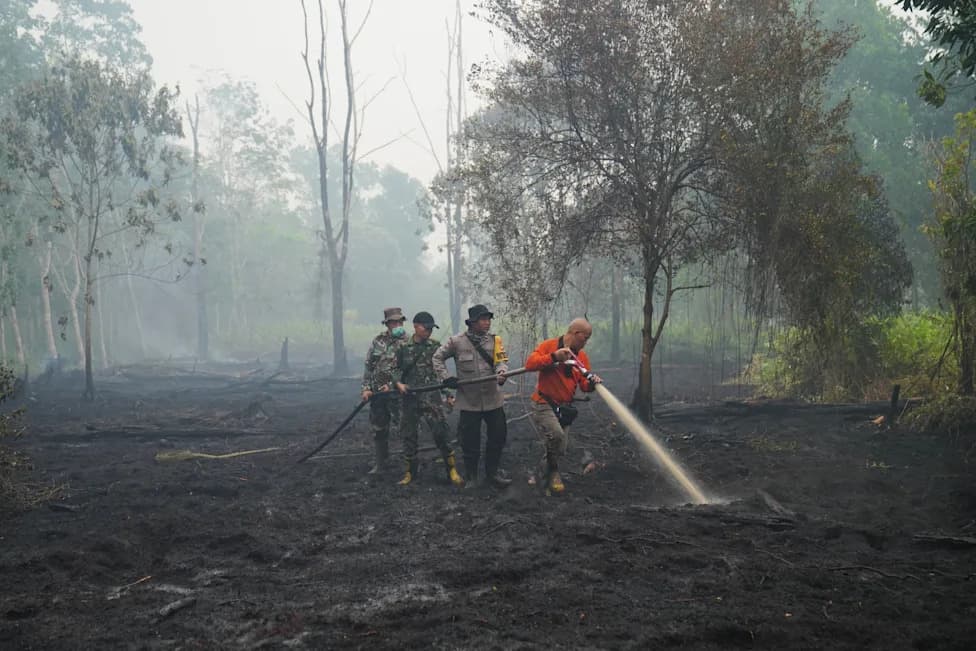 Strong El Niño Could Add Up to 451,000 Heat-Related Deaths, Study Warns