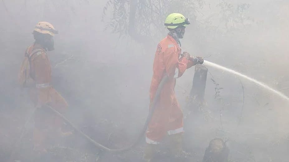 Haze Crisis: 175,000 Respiratory Cases as Indonesia Battles 'Godzilla' El Niño-Fueled Wildfires