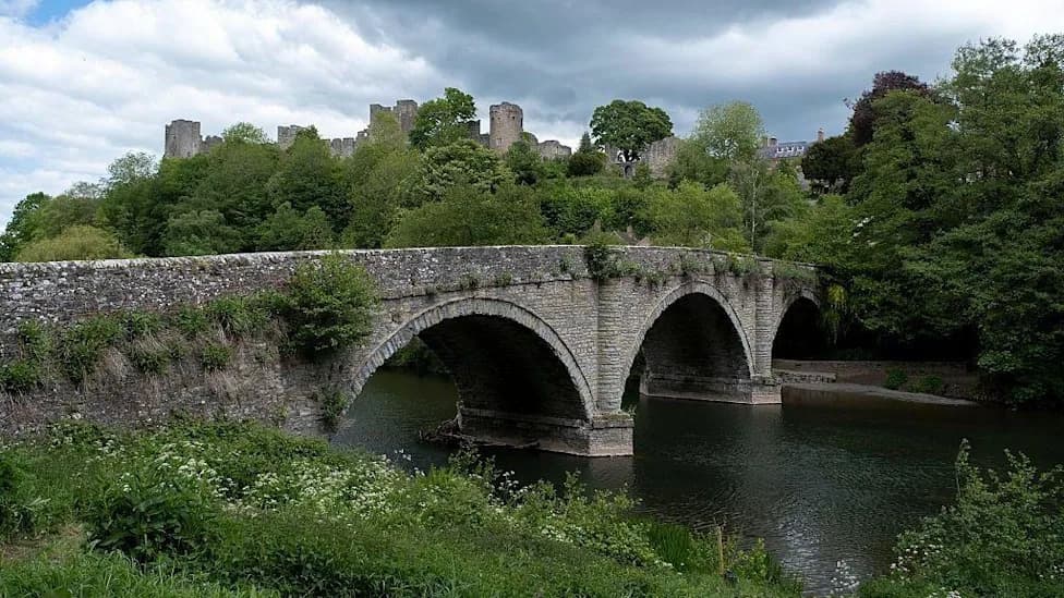 Campaigner Seeks Legal Protection as River Teme Shows Signs of Becoming 'Unwell'