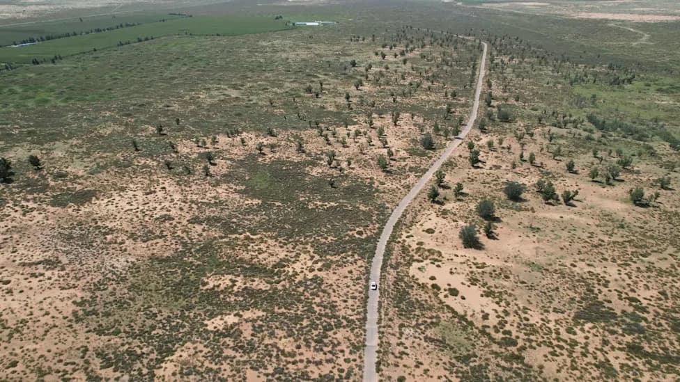 China’s Great Green Wall: How Afforestation Is Holding Back the Gobi