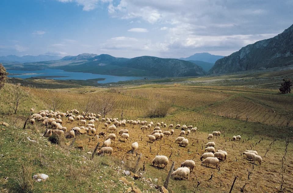 Can a 500‑Year‑Old Sicilian Arbëreshë Town Survive a Warming Climate?