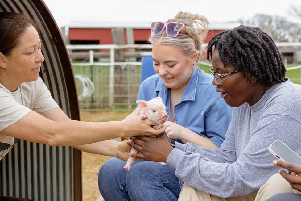 Airbnb and American Farmland Trust Offer Up To $10,000 Grants To Launch Farm Stays