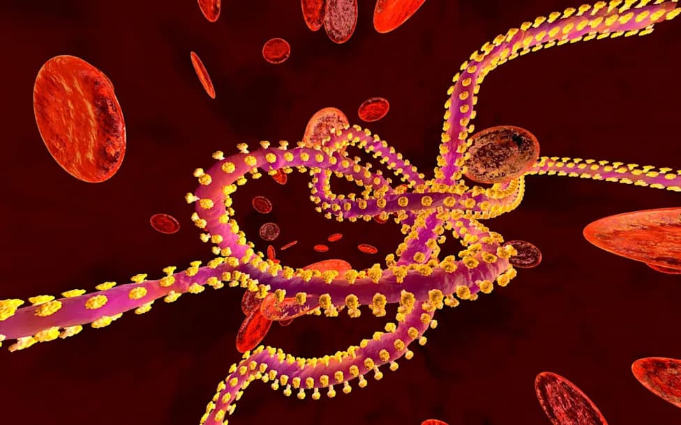 UK Expands Sewage Surveillance to Detect Ebola and Other High-Risk Pathogens