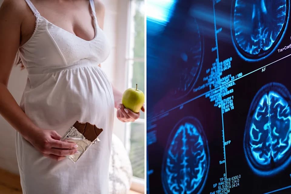 Lower Sugar During the First 1,000 Days Tied to Lower Adult Anxiety Risk and Lasting Brain Differences