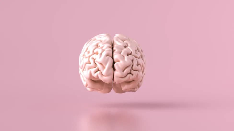 Alkermes Says Experimental Orexin 2 Agonist ALKS 7290 Shows Early Promise for Adult ADHD