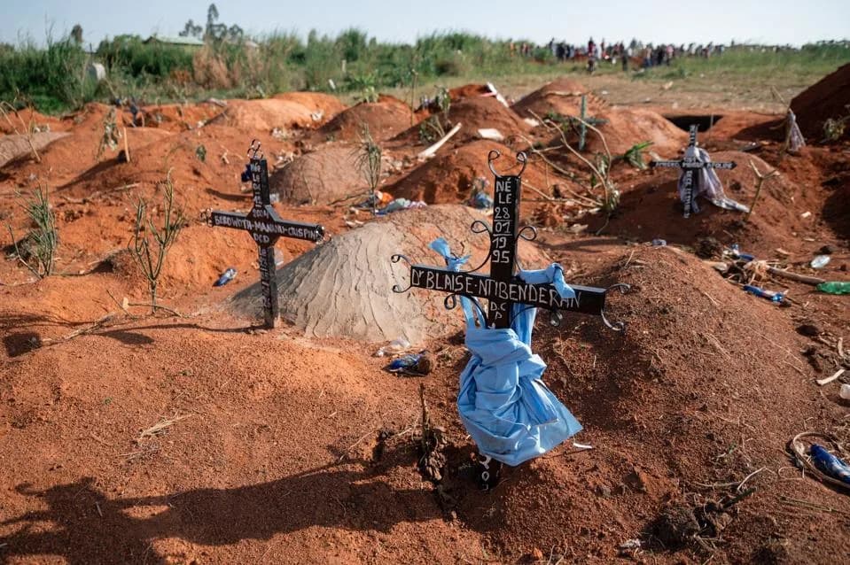 Detection, Not Deforestation, Shapes Where Outbreaks Appear — Global Study Finds Healthcare Access Drives Reported Spillovers