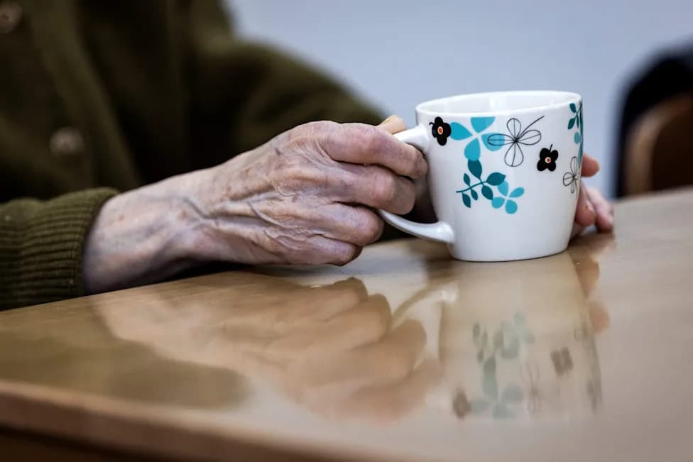 Bone Marrow Damage May Explain Why Alzheimer’s Fails to Heal Itself, New Study Suggests