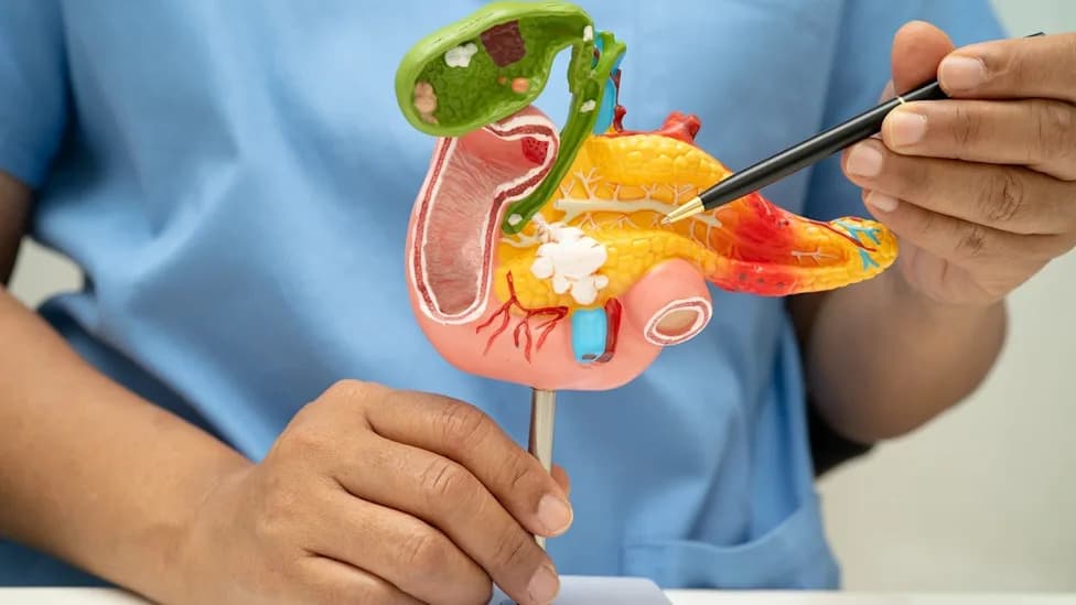 Genialis and Inventia Pair AI With 3D Tumour Models To Improve Pancreatic Cancer Testing
