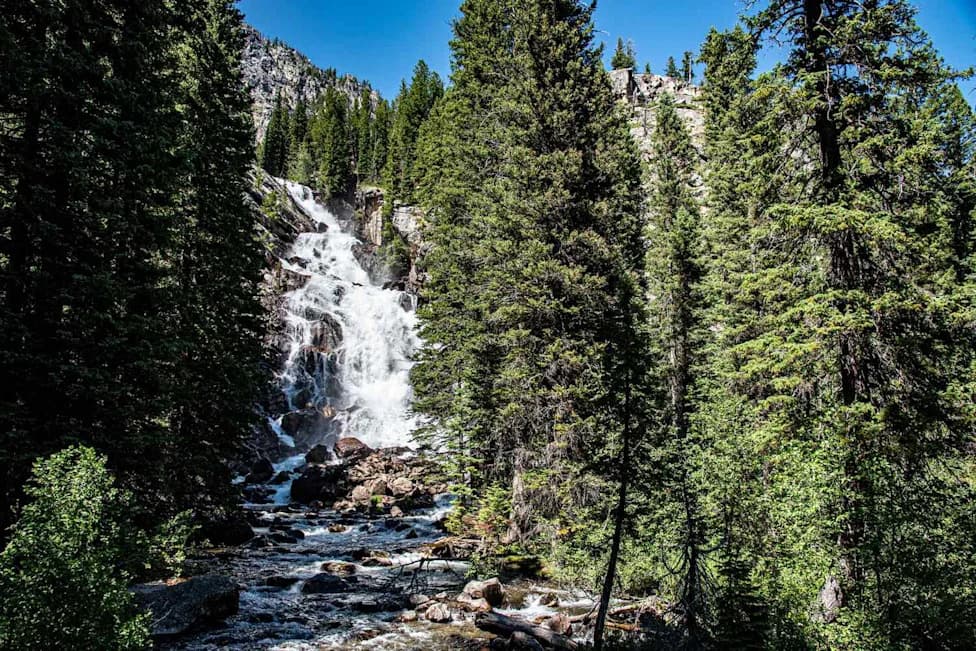 Researcher Finds 1,289‑Year‑Old Whitebark Pine in Grand Teton — Oldest Ever Recorded
