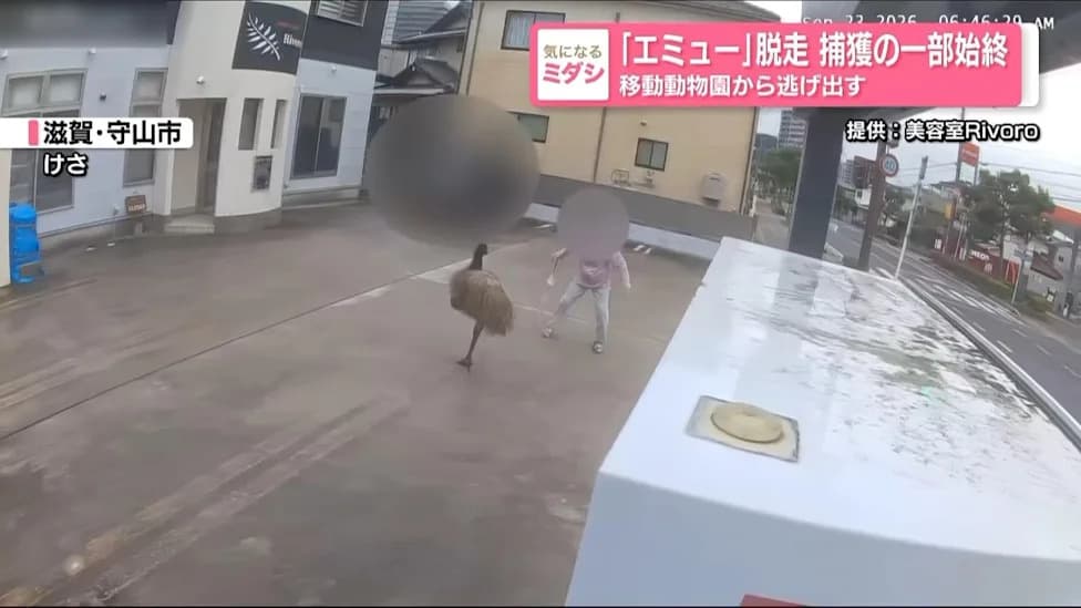 Juvenile Emu Sparks Two-Hour Police Chase Through Moriyama Neighborhood