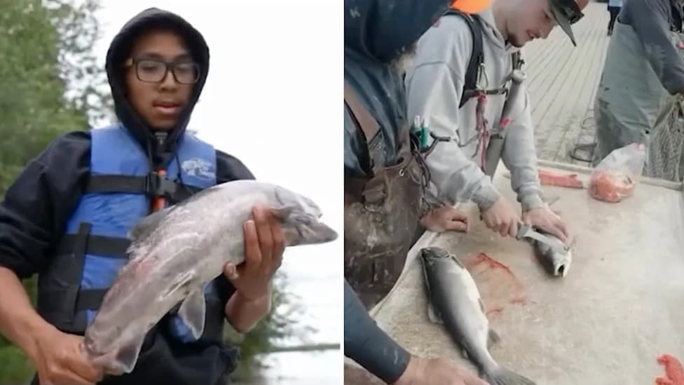 Alaskans Fight Back: Families Lose Salmon Access While Trawlers Discard Millions