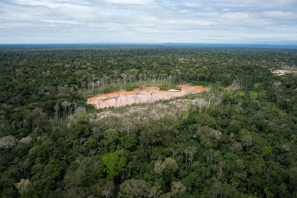 Historic Court Hearing Accuses Peru Of Failing To Protect Isolated Amazon Tribes