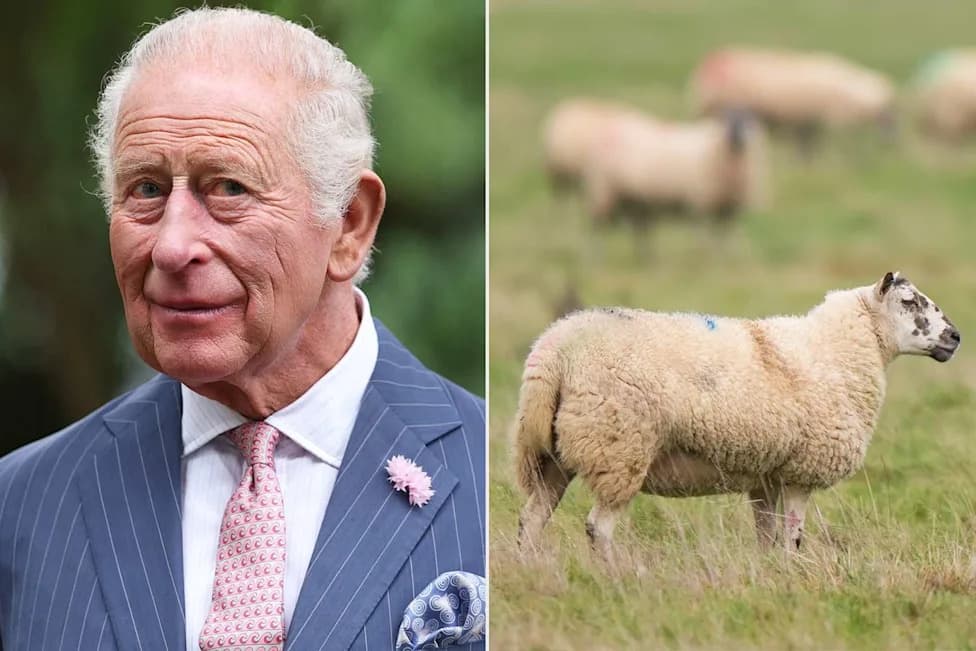 Three Animal-Rights Activists Convicted Over Lamb Theft at King Charles's Sandringham Estate