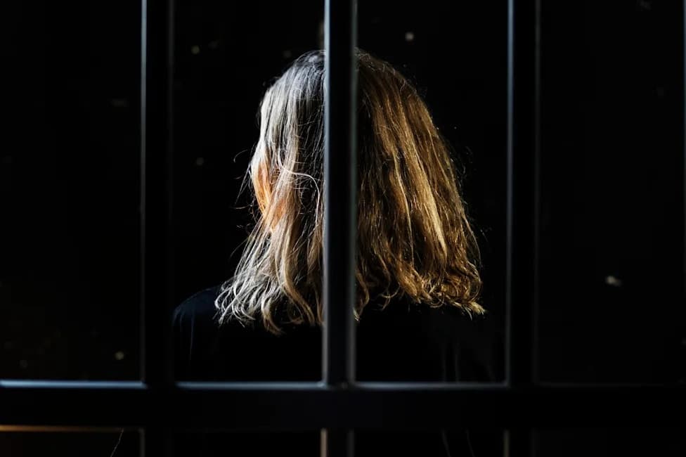 Wrongly Linked by Flock Camera, Woman Spent Nearly Four Days in Solitary — Charges Later Dropped