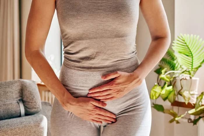 Rete Ovarii: A Long-Ignored Structure That May Influence Ovarian Health and Fertility