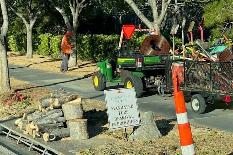 Las Vegas’ Cash‑for‑Grass Plan Aims To Save Water — Residents Say It Sacrifices Real Green Space