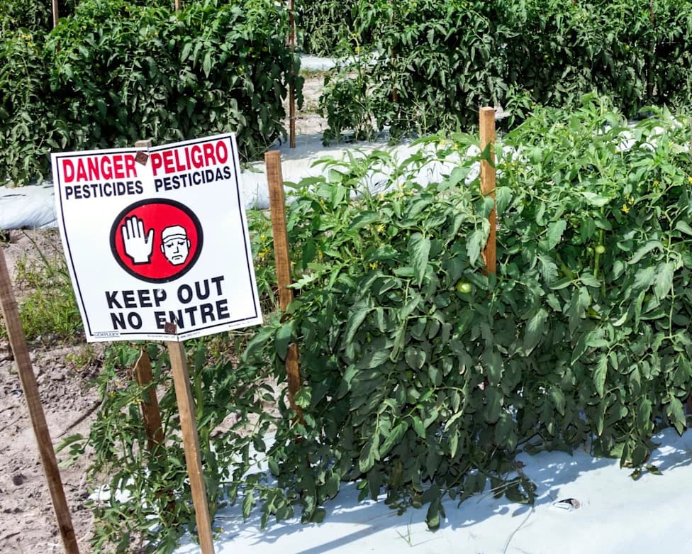 Study Identifies 485 Chemicals in U.S. Pesticide Products Linked to Breast Cancer; Regulators Face Scrutiny