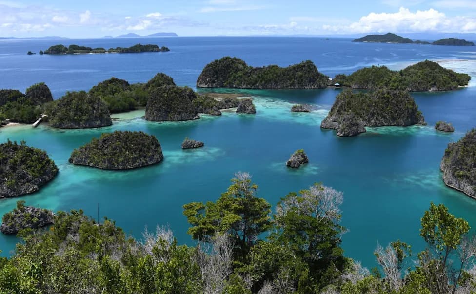 Hyundai Says It Won't Source Nickel From Raja Ampat After Global Campaign
