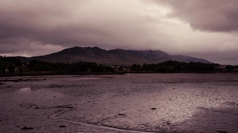 Study: Climate-Driven Evaporation Made Ireland’s Record July Drought Eight Times More Likely