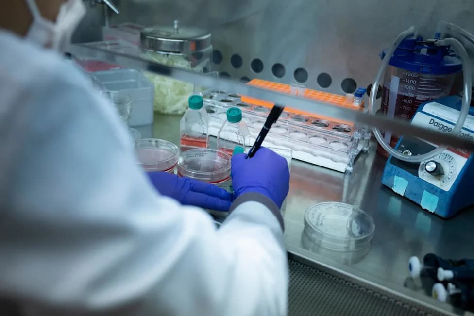 Underused Lifesaving Therapy: Fewer Than 3% Of U.S. Sickle Cell Patients Receive Automated Red Blood Cell Exchange, Survey Finds