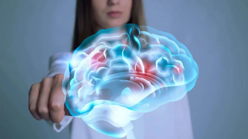 What Really Happens to Your Brain Under Anesthesia? New Studies Reveal Surprising Activity
