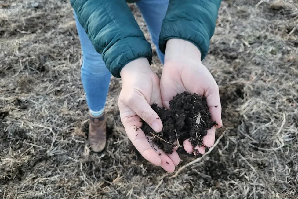 Wendell Berry’s Legacy: How Christian Farmers Reconciled Faith With Regenerative Farming