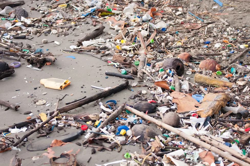 Interceptor 006 Captures 463,000 Pounds of Trash in Guatemala, Blocking It From the Gulf of Honduras