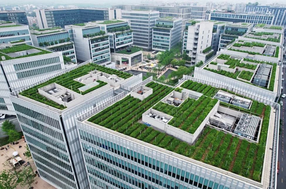 Designing for a Warming Planet: Rethinking Design, Labor, and a Just Transition