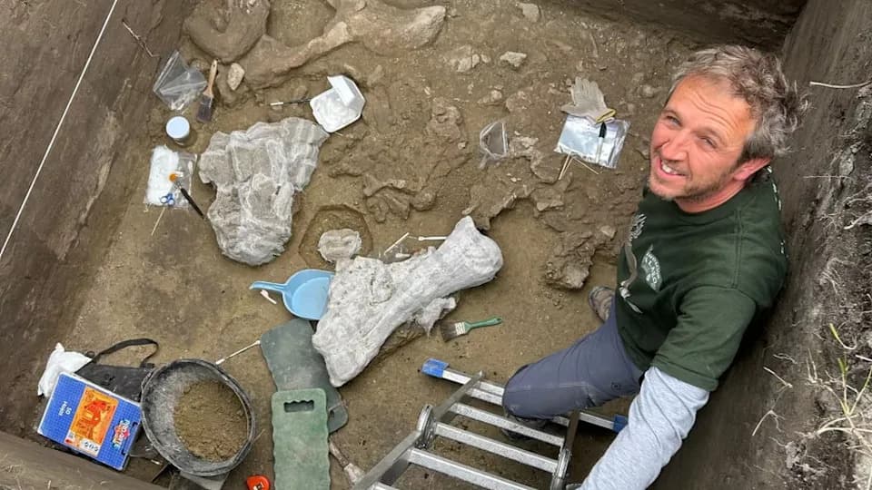 13,000-Year-Old Butchered Gomphothere Bones at Lake Tagua Tagua Strengthen Evidence of Early Americans