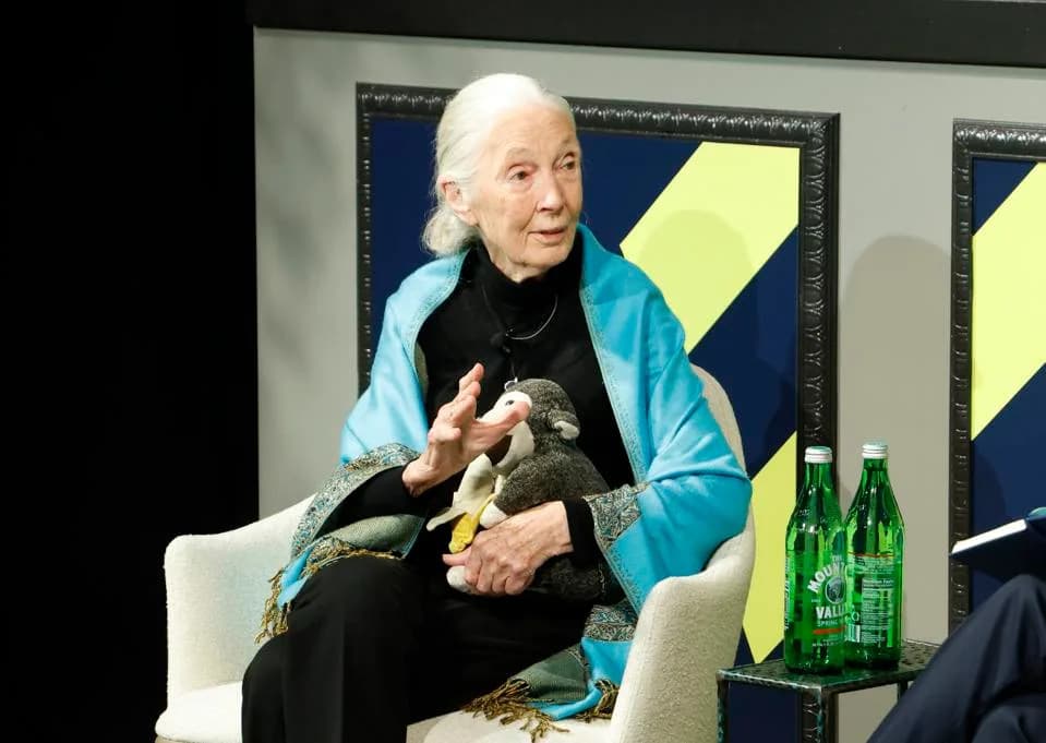 Jane Goodall’s Lasting Lessons: How Hope, Science and Community Action Can Save Nature