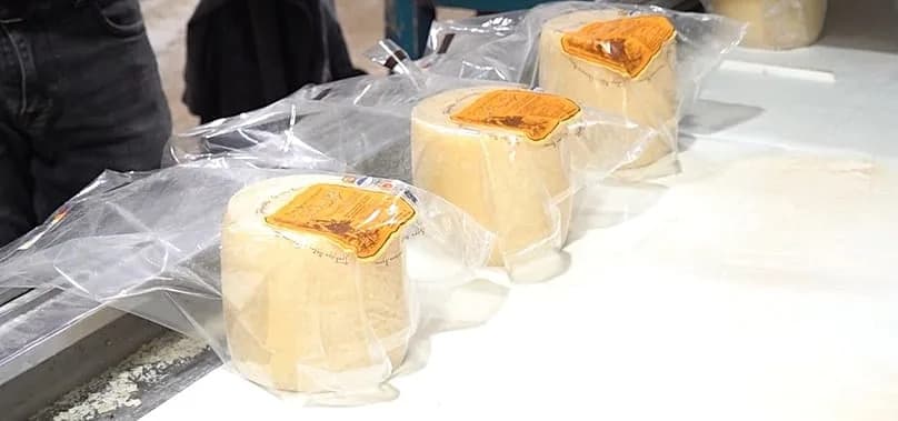 Naxos Graviera: World‑Renowned Cheese Faces Production Crunch