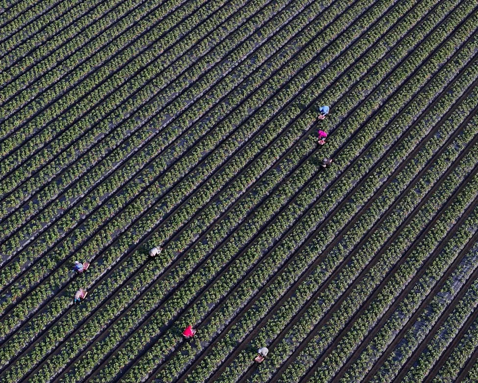 More Than Half of U.S. Child Labor Deaths Lack Key Data, GAO Warns