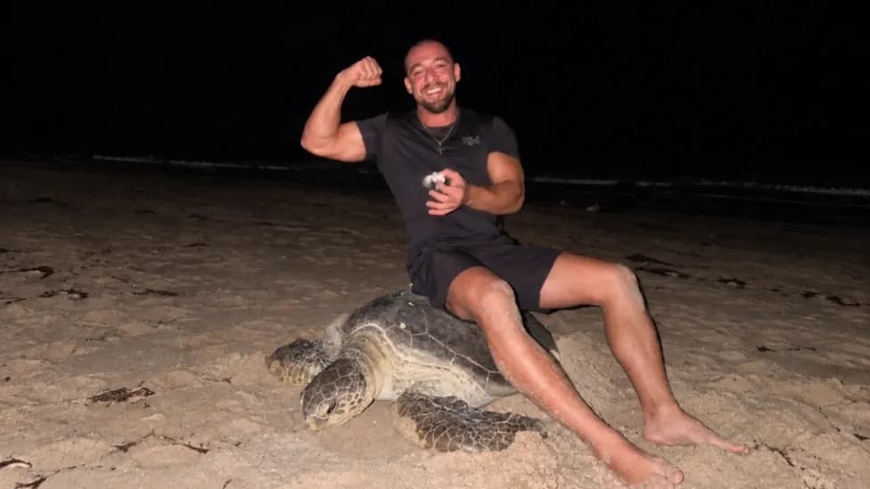 Fitness Influencer Faces Global Outcry After Sitting On Nesting Sea Turtle At Oman Sanctuary