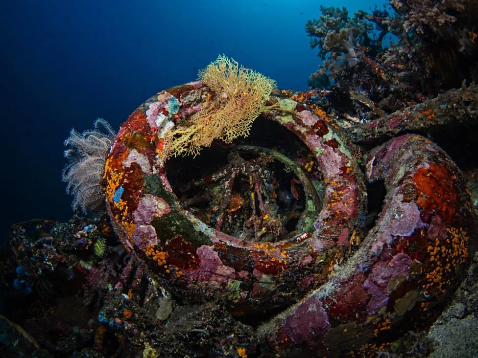 Osborne Reef Disaster: How 2 Million Tires Dumped in 1972 Still Haunt Florida’s Coast