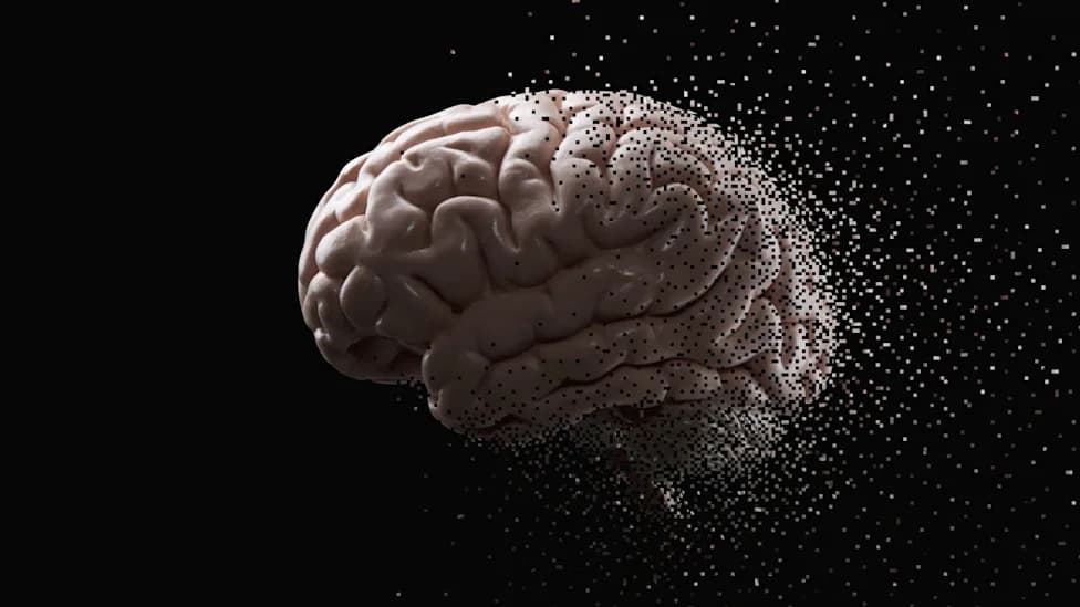 Human Alzheimer’s and CBD Tau Proteins Imprint Their Atomic Fold on Mouse Brains — Strong Evidence for Prion-Like Templating