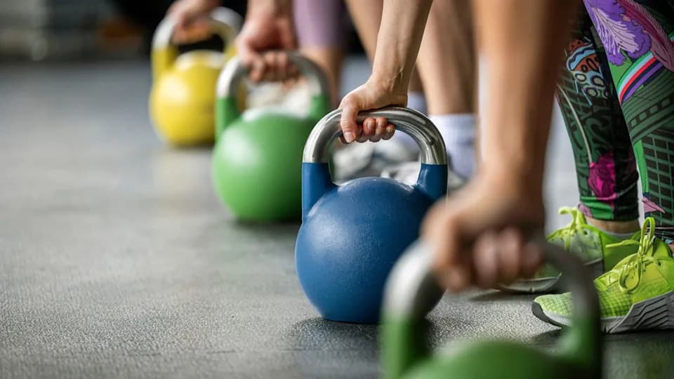 How Regular Exercise Rewires Your Immune System and Metabolism, Study Finds