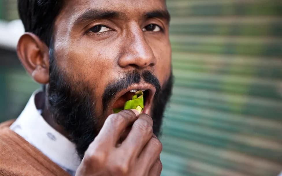 Study: Chewing Tobacco Linked to ~251,000 Deaths in 2023 as Use Remains High