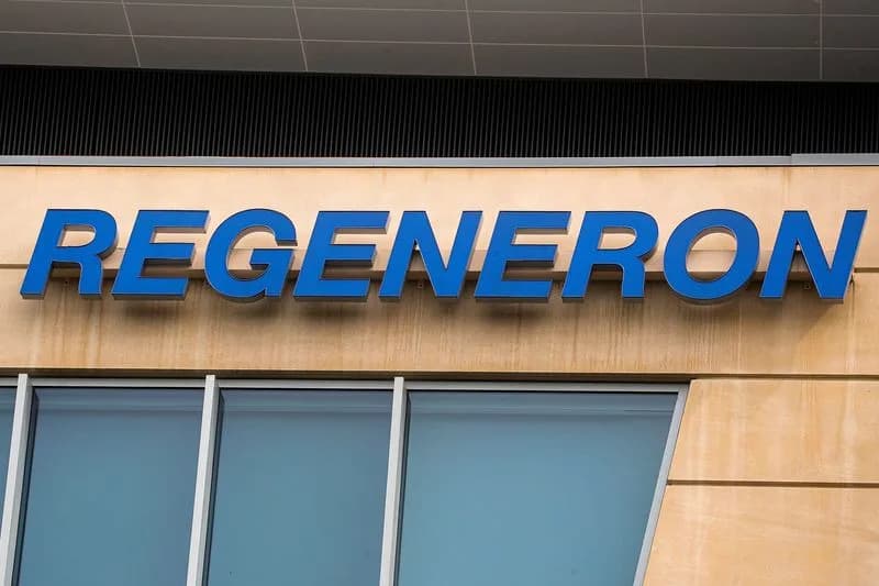 Regeneron’s Trevogrumab Halves Muscle Loss When Added to Novo’s Semaglutide, Mid-Stage Trial Shows