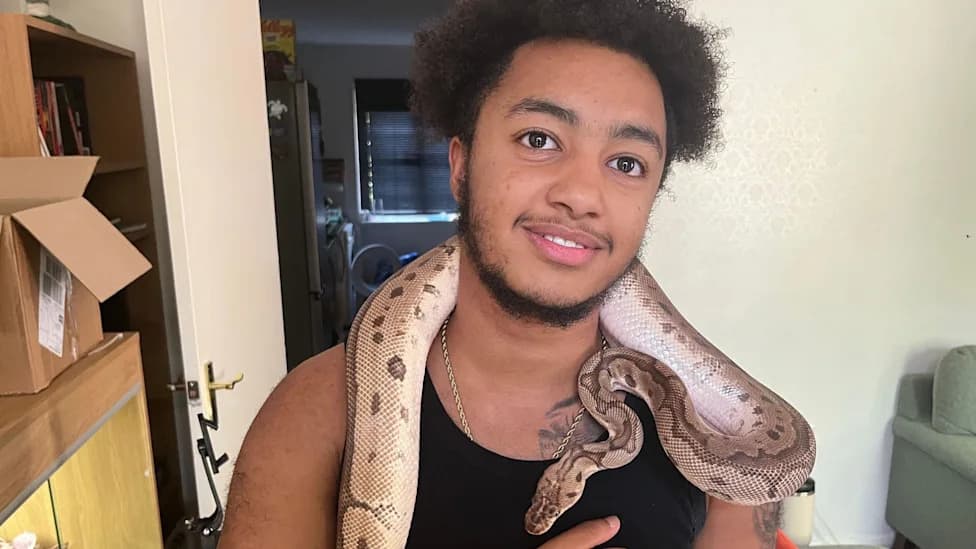 Miracle Recovery: Pet Python Found Alive Nearly Three Weeks After Escape in Peterborough