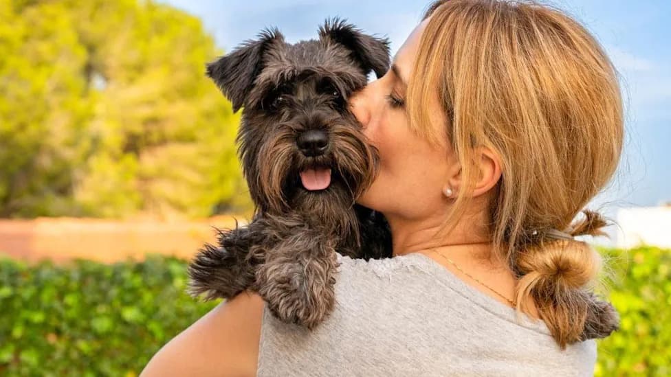 Online Sessions Teach Pet Professionals How Abusers Use Animals To Control Victims