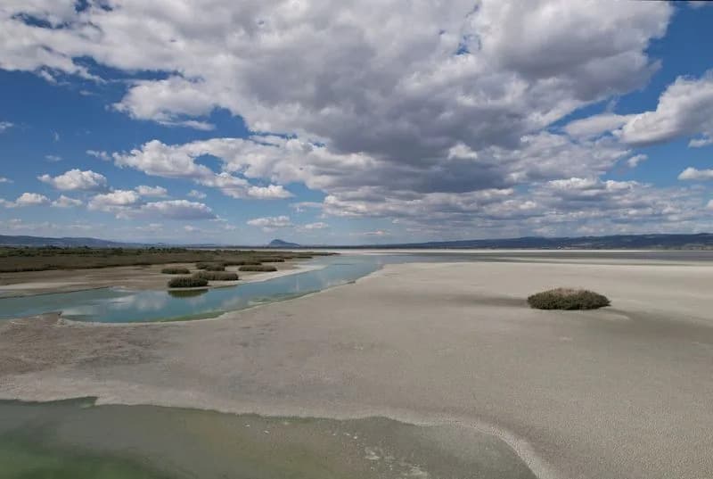 Lake Koroneia’s Collapse: How Drought and Over-Irrigation Turned a Thriving Wetland Into a Mud Plain