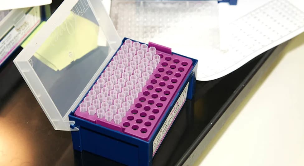 Wegovy Reduces Liver Fat in STEP UP Subgroup Analysis, Novo Nordisk Reports