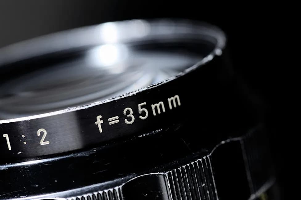 Nikon Re-Reviews Microscopy Video Winner After Concerns Over AI‑Assisted Post‑Processing