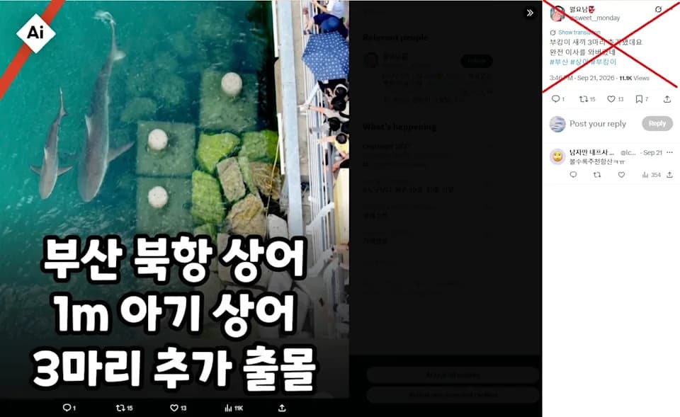 AI-Generated Photo Fuels False Claims About Busan’s Celebrity Shark “Bukhangi”