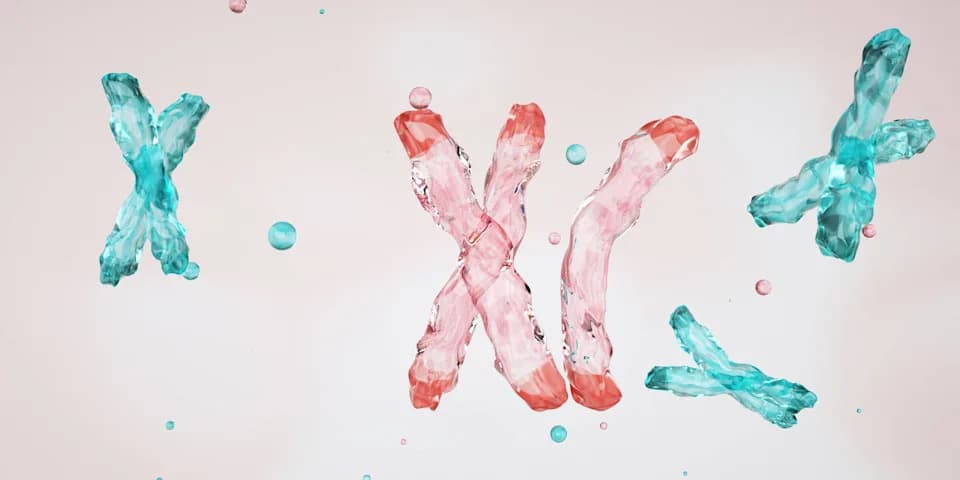Japanese Team Uses Allele-Specific CRISPR To Remove Extra Chromosome 21 In Lab-Grown Human Cells — Not A Therapy