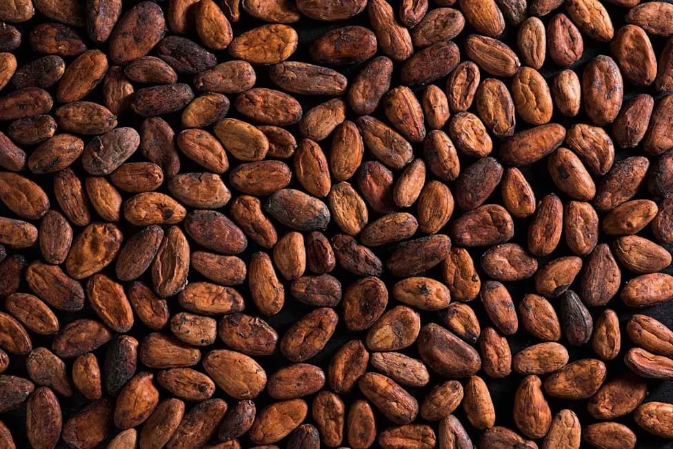 Ancient Pottery DNA Reveals Cacao At Georgia’s Etowah Nearly 900 Years Ago
